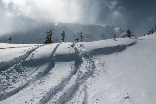 Fresh ski tracks crossing an untouched snowfield in the winter mounts