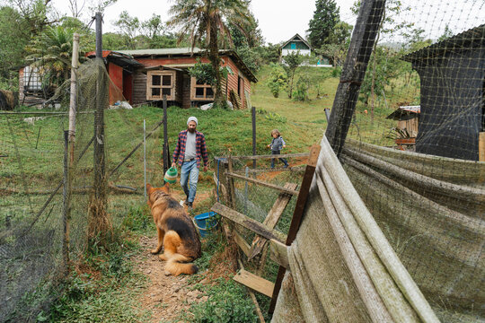 Rural life with german shepherd protecting sustainable farm