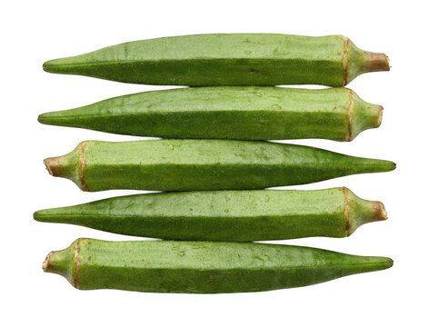 Fresh okra png Green okra cutout Organic okra png Healthy okra cutout Vibrant okra png Raw okra cutout isolated transparent background image