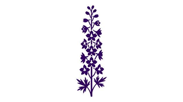 Purple larkspur flower stalk on white background.