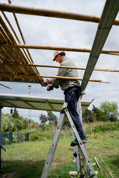 Man building bamboo structure
