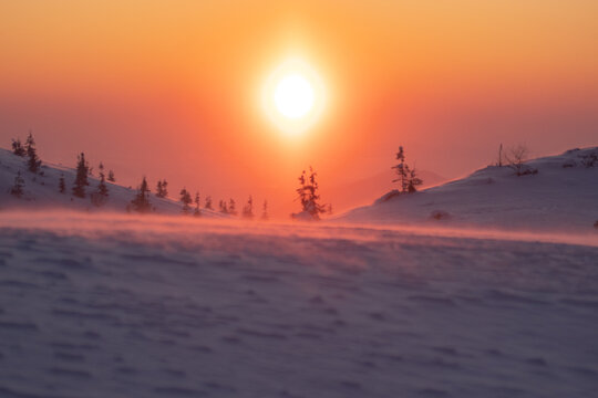 Golden morning light bathes the snowy Carpathian highlands in warm 