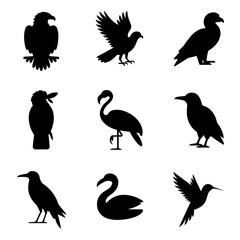 Obraz premium Collection of bird silhouettes for design projects. Artistic avian icons for creative use.