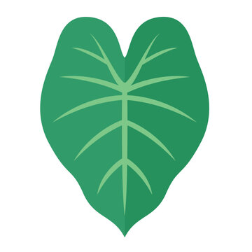 Elephant Ear Leaf Flat Vector Clipart Logo Icon