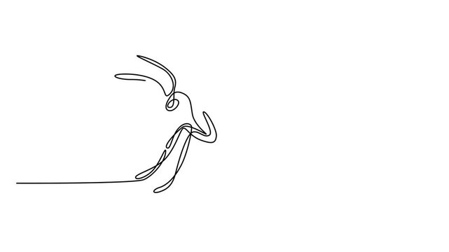 Minimalist continuous line art of an ant, single line drawing of a crawling insect, modern black and white vector illustration for logo design 4k video