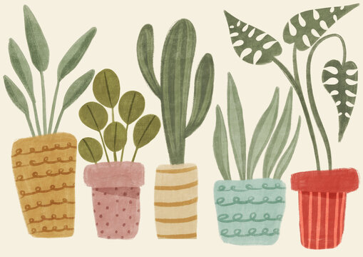 Hand drawn potted plants 