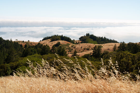 Afternoon light on Mt Tamalpais