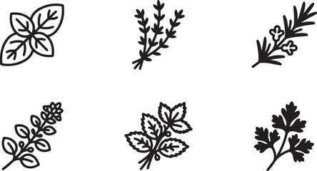 Six different herbs and spices illustration set with clean lines Vector © Runa