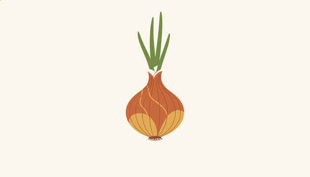 Single healthy fresh onion vegetable with green sprout leaves on top isolated on a clean creamy white background.