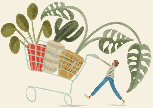 Person walking pushing a shopping trolley full of plants