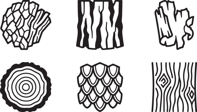 Six different types of wood grain and tree bark textures Vector