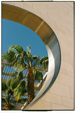 Palm Tree Framed by Circular Metallic Window, Lisbon, Portugal