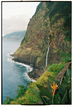 V&eacute;u da Noiva Waterfall with Bird of Paradise Flower, Madeira