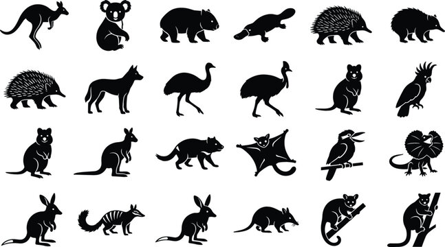 Australian Animals Black Silhouette Icon Set Featuring Wild Outback Fauna Symbols for Nature Logo Designs and Wildlife Vector Graphics