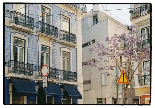Traditional Azulejo Buildings and Jacaranda Tree in Lisbon