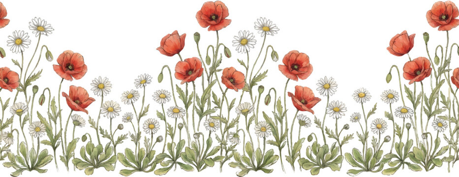 Colorful wild flower meadow border vector illustration on a transparent background