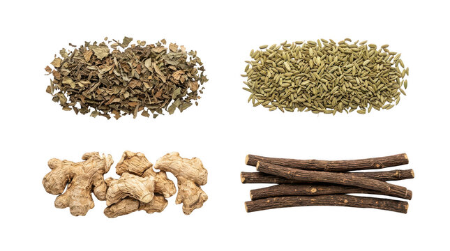 Set of dried natural spices and herbs including ginger root and cinnamon sticks for healthy cooking and herbal medicine