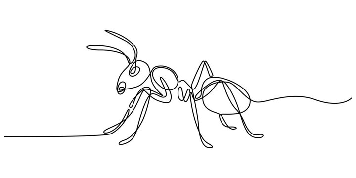 Minimalist continuous line art of an ant, single line drawing of a crawling insect, modern black and white vector illustration for logo design
