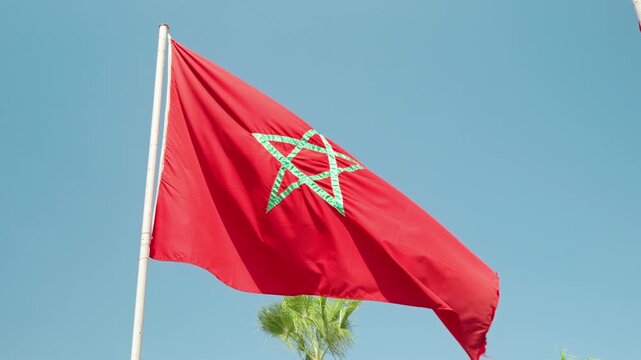 Moroccan Flag Flying Against Clear Blue Sky With Palm Trees Symbolizing National Pride