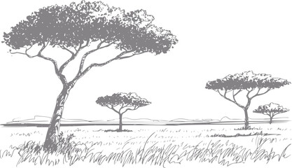 Dibujo a mano de un paisaje de sabana africana con icónicos árboles de acacia en la pradera salvaje © Vector_Mint