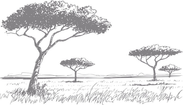 Dibujo a mano de un paisaje de sabana africana con ic&oacute;nicos &aacute;rboles de acacia en la pradera salvaje