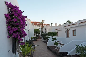 White resort walkway with blooming purple bougainvillea, Los Cristianos, Tenerife © Travel Faery
