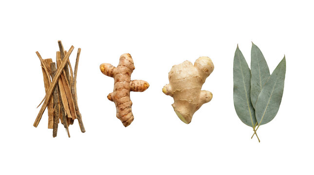 Fresh turmeric root raw ginger root and green bay leaves for healthy cooking and herbal medicine