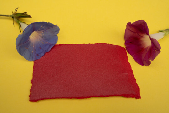 Fondo floral con flores de campanilla azul y morada sobre papel artesanal rojo en fondo amarillo