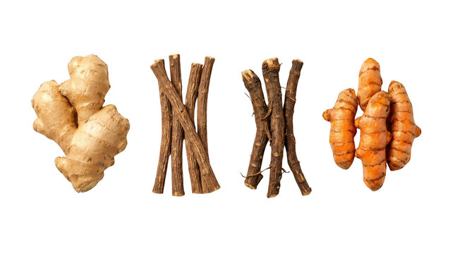 Fresh ginger root and turmeric rhizomes with cinnamon sticks and dark liquorice roots for healthy herbal tea spices