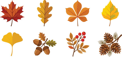 Fototapeta premium Autumn Leaves Vector Set with Maple, Oak, Acorns, Pinecones, and Berries