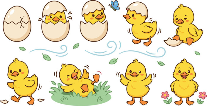  Cute cartoon baby chick hatching from egg life cycle vector collection set with little yellow ducks playing in grass for easter holiday design.