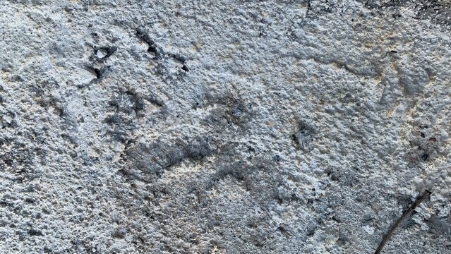 Close-up of weathered concrete surface showing rough texture, aggregate exposure, and natural wear patterns