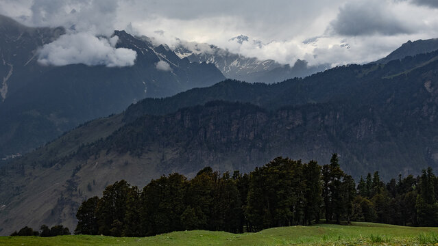 Mountain Ranges and Pine Forest along Bhrigu Lake Trek Route, Dramatic Alpine Landscape near Manali Kullu Valley Himachal Pradesh