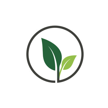 A clean and elegant minimalist design featuring two leaves within a circular border, representing sustainability, growth, and environmental consciousness.