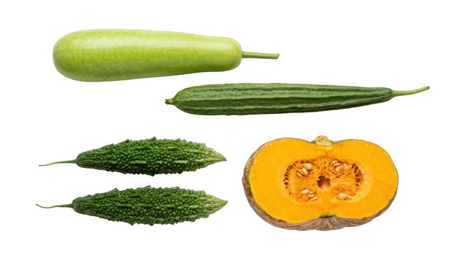 Fresh organic bottle gourd bitter melon and sliced pumpkin vegetables arranged for healthy cooking and nutrition