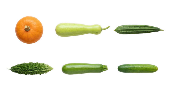 Fresh pumpkin zucchini cucumber and bitter melon vegetables arranged on a flat surface for healthy cooking concepts