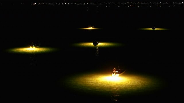 Glass eel fishing on the Yoshino River