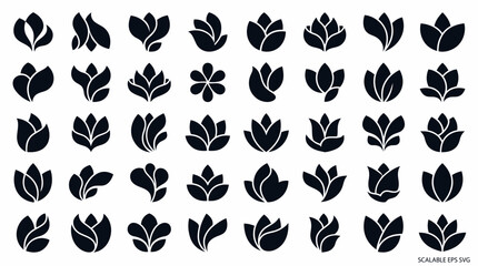 Fototapeta premium Black and white leaf pattern collection