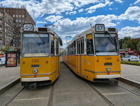 Two iconic yellow Budapest trams on routes 47 and 49 standing side by side at a city center stop, Budapest, Hungary
