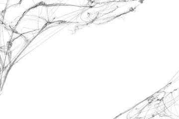 Fototapeta premium Tangled spider's web on isolated white background for Halloween design. Black cobweb for applying in multiply blend mode on any concept