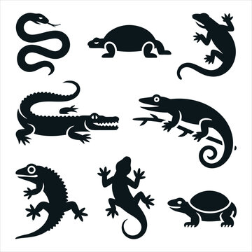 Set of cartoon crocodiles and alligators in playful poses. Fun animal illustrations for childrens books and educational content.