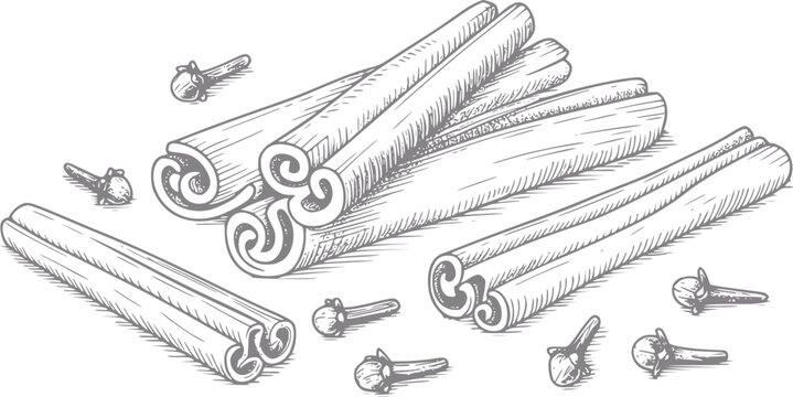 Dibujo a mano de ramas de canela arom&aacute;ticas y clavos enteros para uso culinario y especias estacionales
