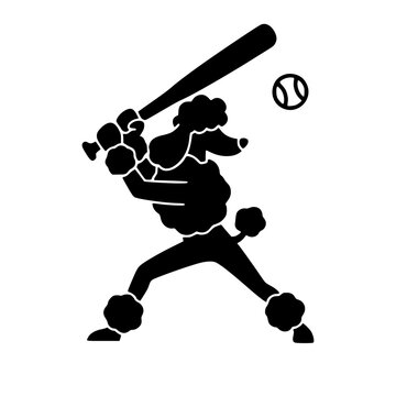 Poodle Playing Baseball