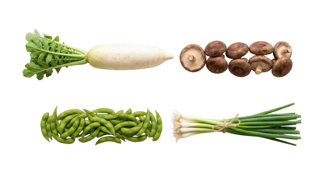 Fresh daikon radish shiitake mushrooms green beans and scallions arranged on a flat surface for healthy cooking