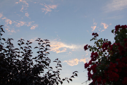 Sunset Sky Over Rural Moldova with Utility Wires and Silhouetted Trees