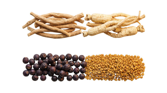 Dried ginseng roots with black peppercorns and mustard seeds arranged in rows