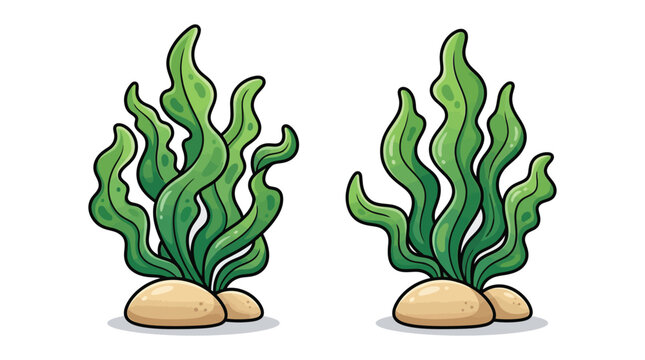 Green seaweed illustration with pebble bases cartoon style vector graphic