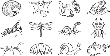 Obraz premium Forest Animals and Insects Line Art Vector Set Featuring Wildlife Reptiles Amphibians and Nature Creatures Collection