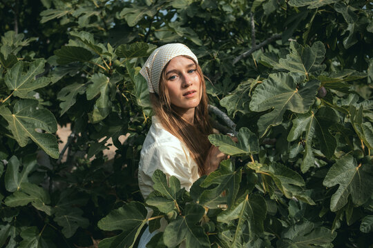 Young woman posing in a fig orchard, surrounded by vibrant green leaves and ripening figs. Capturing rustic charm and wellness