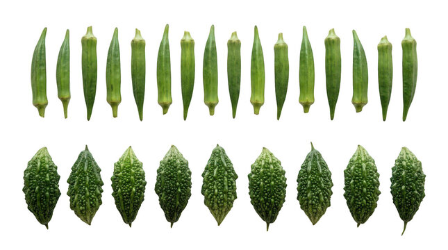Fresh okra and bitter melon vegetables arranged in rows as healthy food ingredients for cooking